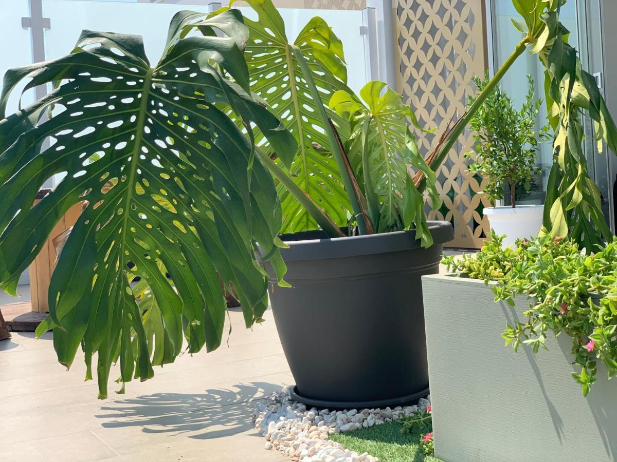 Dalu Suite Terrace Bari Exteriör bild